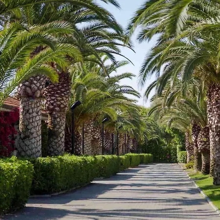 In - Abruzzen 44899 روزيتو ديلي أبروتسي